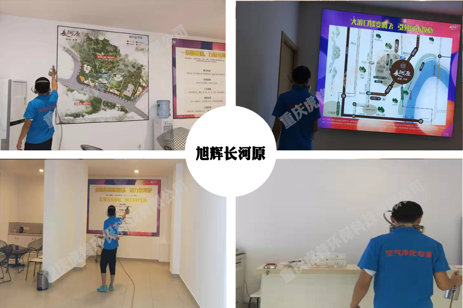 重慶除甲醛公司 重慶除甲醛公司